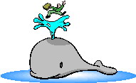 La foca che fa surf su una balena
