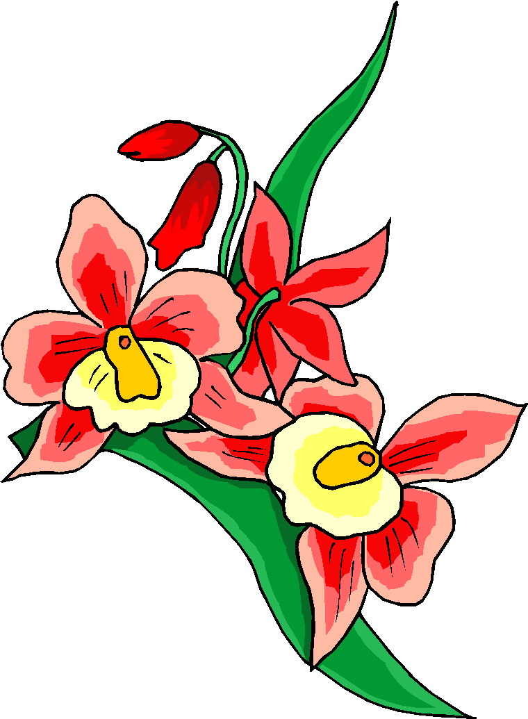 microsoft clipart spring flowers - photo #10