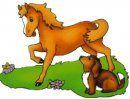 animali/cavallo/cavalli_su08.jpg
