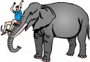 animali/elefante/clipart_elefanti-93.jpg