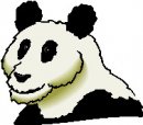 animali/panda/panda_60.jpg