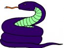 animali/serpente/serpenti_144.jpg