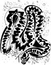 animali/serpente/serpenti_61.jpg