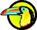 animali/uccelli_tropicali/uccelli_tropicali16.jpg