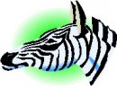 animali/zebra/zebra05.jpg