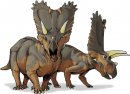 cartoni_animati/dinosauri/pentaceratops.jpg