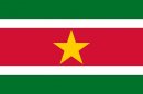 geografia/bandiere/Suriname.jpg