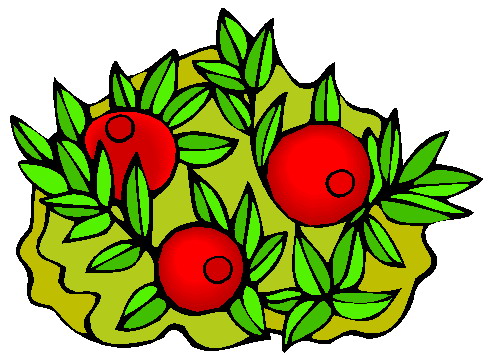 Клюква рисунок для детей