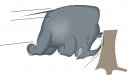 animali/animali_divertenti/clipart_animali_divertenti_1002.jpg