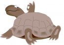 animali/animali_divertenti/clipart_animali_divertenti_1062.jpg