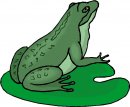 animali/animali_divertenti/clipart_animali_divertenti_241.jpg