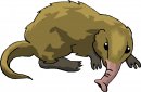 animali/animali_divertenti/clipart_animali_divertenti_256.jpg