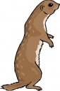 animali/animali_divertenti/clipart_animali_divertenti_265.jpg