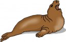 animali/animali_divertenti/clipart_animali_divertenti_279.jpg