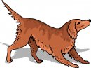 animali/animali_divertenti/clipart_animali_divertenti_300.jpg