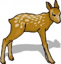 animali/animali_divertenti/clipart_animali_divertenti_341.jpg