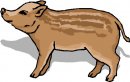 animali/animali_divertenti/clipart_animali_divertenti_342.jpg