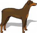 animali/animali_divertenti/clipart_animali_divertenti_343.jpg