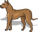 animali/animali_divertenti/clipart_animali_divertenti_344.jpg