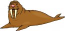 animali/animali_divertenti/clipart_animali_divertenti_366.jpg