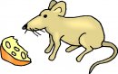 animali/animali_divertenti/clipart_animali_divertenti_386.jpg