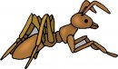 animali/animali_divertenti/clipart_animali_divertenti_388.jpg