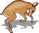 animali/animali_divertenti/clipart_animali_divertenti_395.jpg