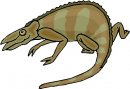 animali/animali_divertenti/clipart_animali_divertenti_396.jpg