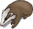 animali/animali_divertenti/clipart_animali_divertenti_397.jpg