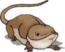 animali/animali_divertenti/clipart_animali_divertenti_399.jpg