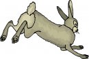 animali/animali_divertenti/clipart_animali_divertenti_414.jpg