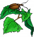 animali/animali_divertenti/clipart_animali_divertenti_416.jpg