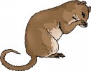 animali/animali_divertenti/clipart_animali_divertenti_448.jpg