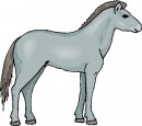 animali/animali_divertenti/clipart_animali_divertenti_452.jpg