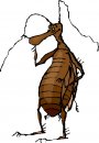 animali/animali_divertenti/clipart_animali_divertenti_462.jpg