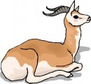 animali/animali_divertenti/clipart_animali_divertenti_467.jpg