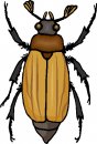 animali/animali_divertenti/clipart_animali_divertenti_470.jpg