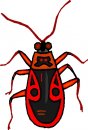 animali/animali_divertenti/clipart_animali_divertenti_471.jpg