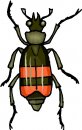 animali/animali_divertenti/clipart_animali_divertenti_472.jpg