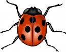 animali/animali_divertenti/clipart_animali_divertenti_473.jpg