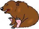 animali/animali_divertenti/clipart_animali_divertenti_474.jpg