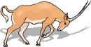 animali/animali_divertenti/clipart_animali_divertenti_480.jpg