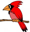 animali/animali_divertenti/clipart_animali_divertenti_49.jpg