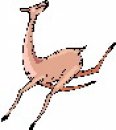 animali/animali_divertenti/clipart_animali_divertenti_662.jpg