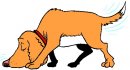 animali/animali_divertenti/clipart_animali_divertenti_751.jpg