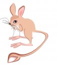 animali/animali_divertenti/clipart_animali_divertenti_842.jpg