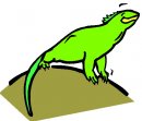 animali/animali_divertenti/clipart_animali_divertenti_864.jpg