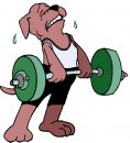 animali/animali_sport/clipart_sport_animali_10.jpg