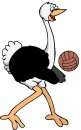 animali/animali_sport/clipart_sport_animali_35.jpg