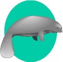 animali/balena/clipart_animali_balena_05.jpg